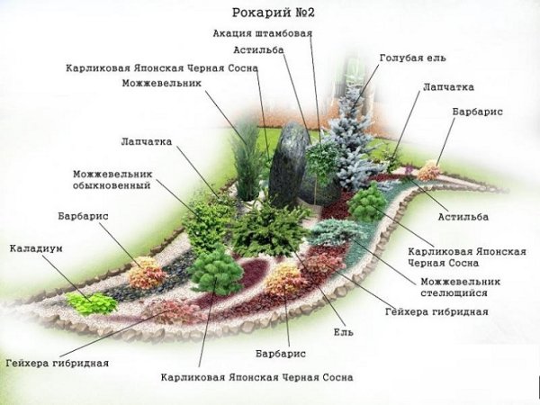 Планировка альпинария