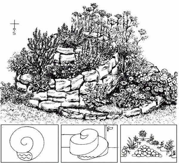 Альпинарий вид сверху