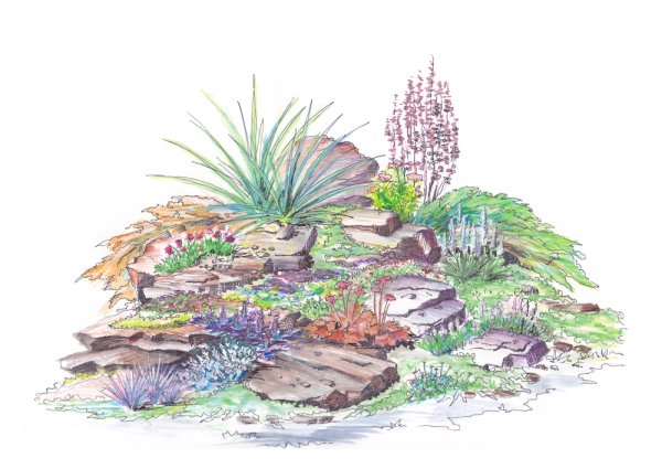 Альпинарий схема посадки растений