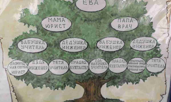 Нарисовать Древо семьи