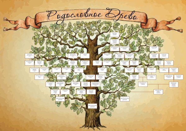 Древо семьи