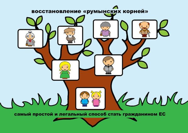 Как нарисовать генеалогическое дерево семьи