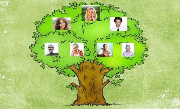 Ругон Маккары Древо