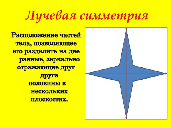 Радиально лучевая симметрия