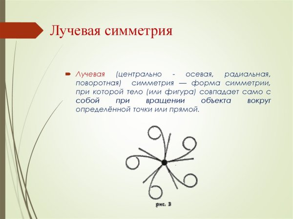 Радиально лучевая симметрия