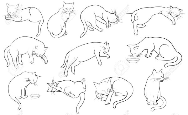 Кот лежит рисунок