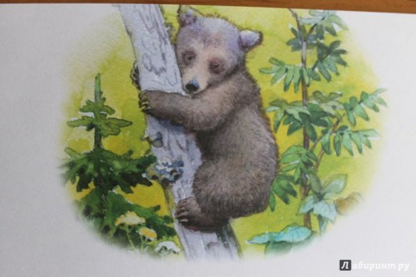 Сказки Бианки Аришка трусишка