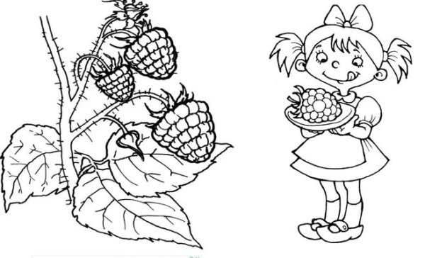 Бианки Аришка трусишка иллюстрации к рассказу