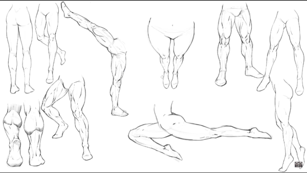 Ноги сзади референс