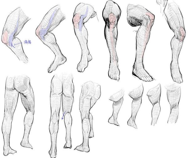 Ступни сзади референс