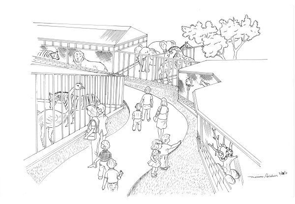 Московский зоопарк раскраска для детей