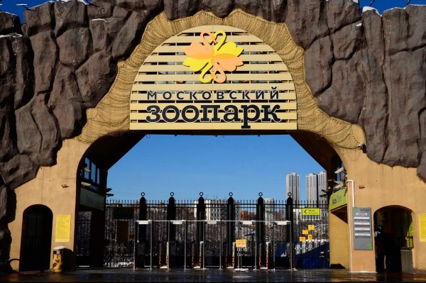 Московский зоопарк 2021