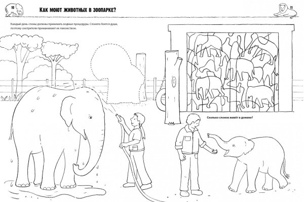 Зоопарк раскраска для детей