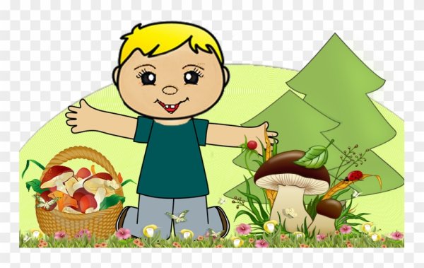 Грибник на прозрачном фоне