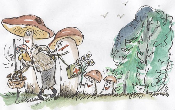 Смешной грибник