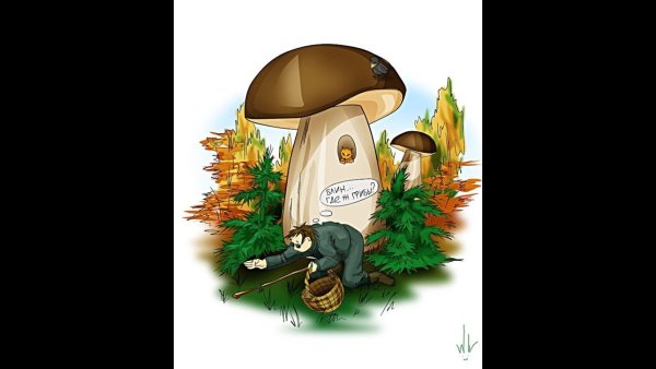 Раскраска сбор грибов