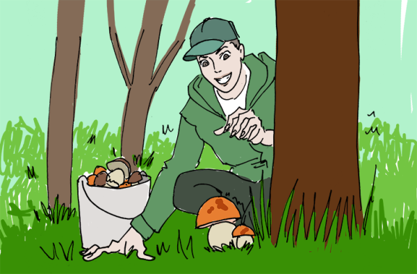 Сбор грибов рисунок