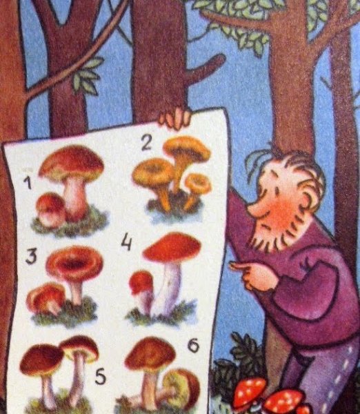 День грибника 3 октября