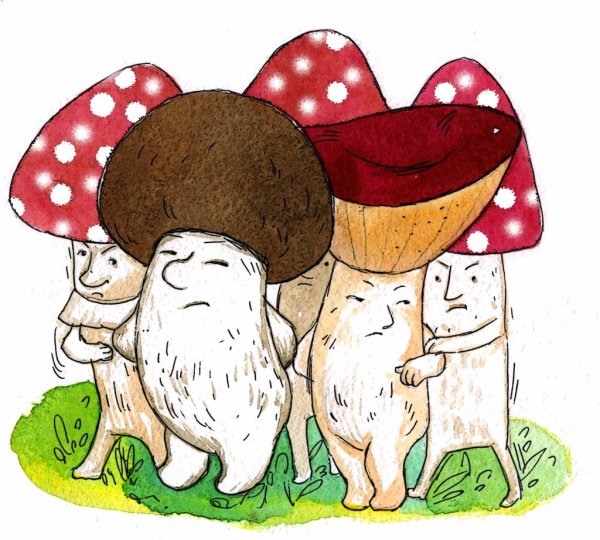 Собирание грибов рисунок