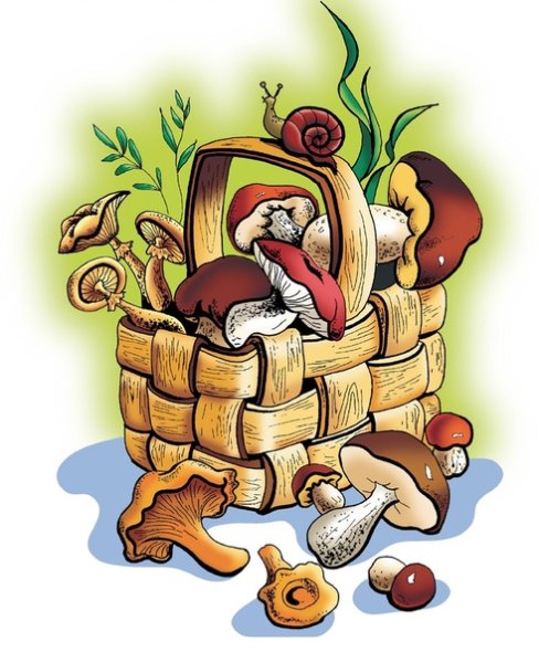 Дедушка с корзинкой грибов