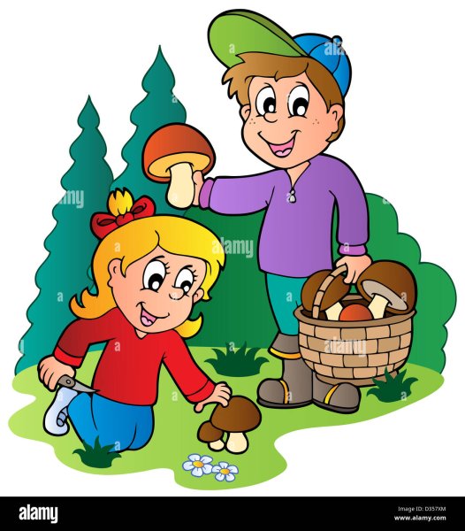 Дети собирают грибы в лесу