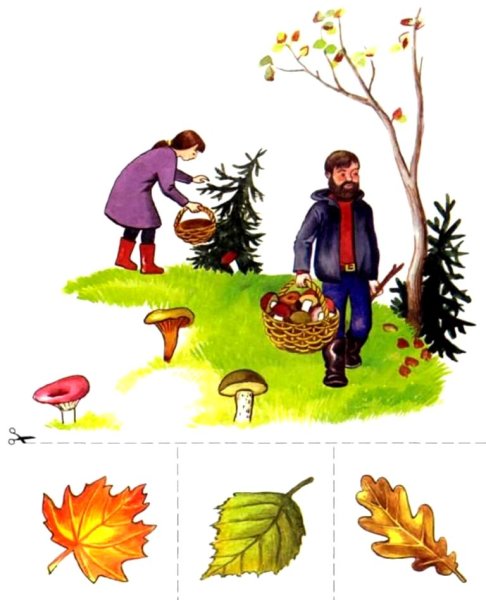 Шутка собираем грибы в лесу