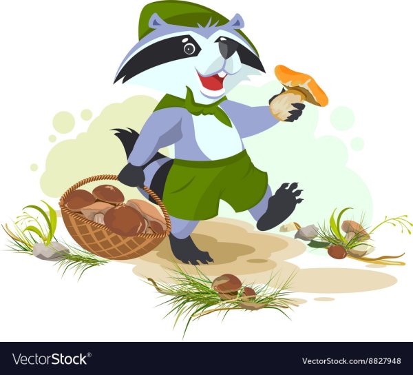 Девочка собирает грибы рисунок