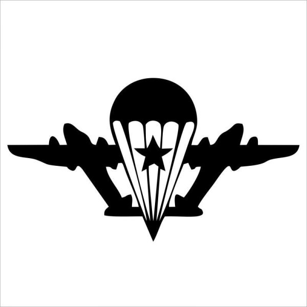 Воздушно-десантные войска