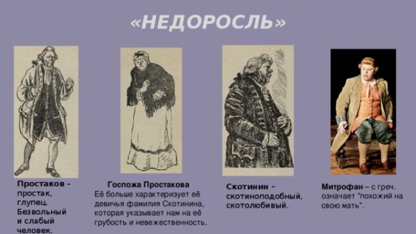 Фонвизин Недоросль Софья