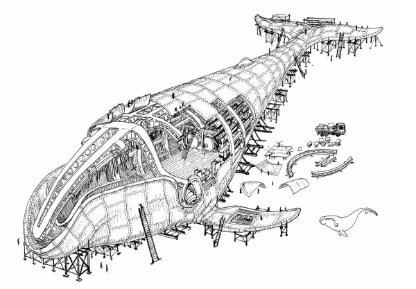 Бионика в архитектуре эскизы