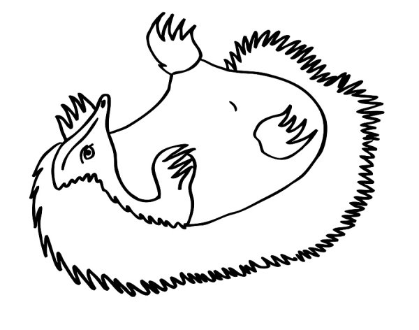 Австралийская ехидна раскраска