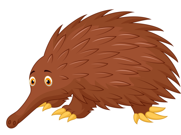 Животные Австралии мультяшные