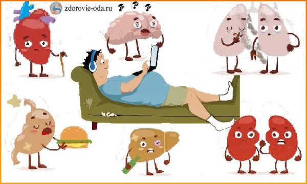 Снижение двигательной активности — это гиподинамия