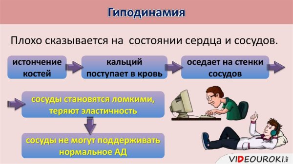 Факторы риска стрессы гиподинамия переутомление переохлаждение