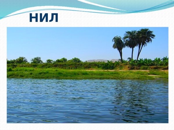 Река Нил для детей