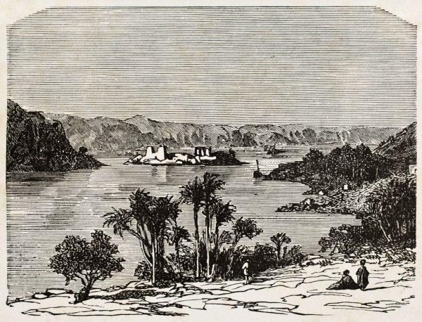 Нил рисунок