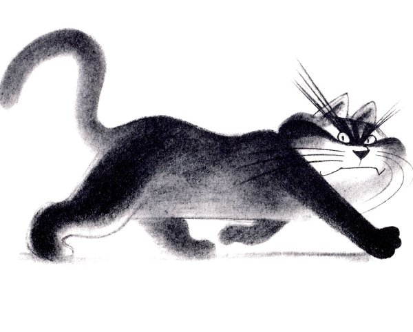 Рисунки котов Чижикова