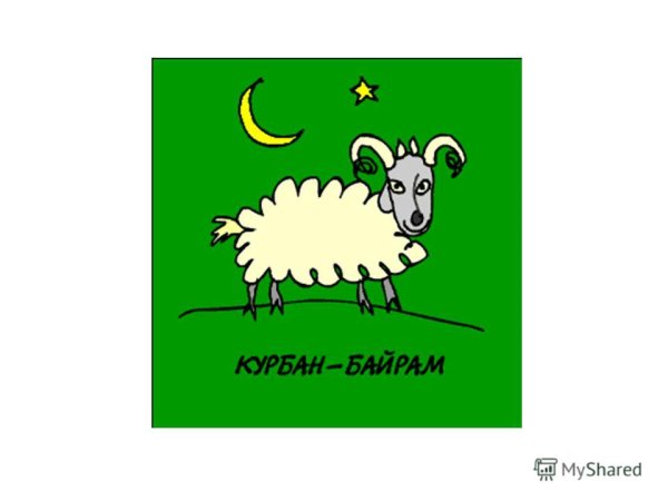 Курбан байрам прикол