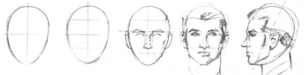 Голова анфас изображение