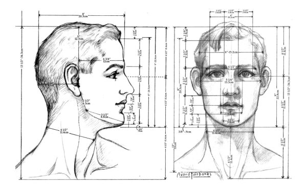 Рисунок головы человека в профиль и анфас