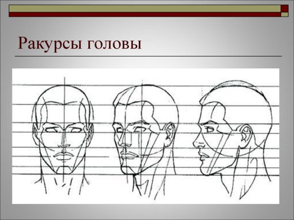 Портрет (конструкция головы человека. Анфас, профиль)