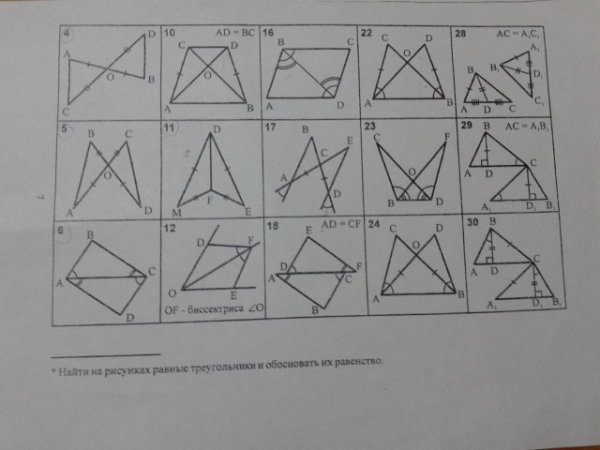 Найти равные треугольники и обосновать их равенство.
