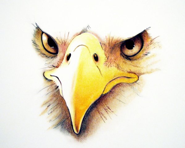 Смешной Орел рисунок