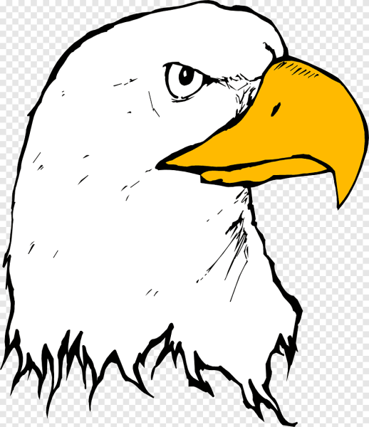 Клюв для детей