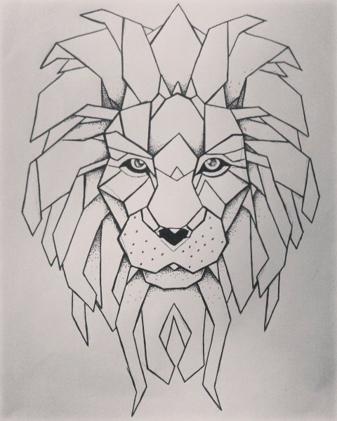 Лев геометрия эскиз