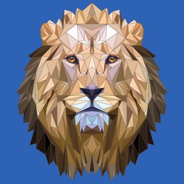 Геометрическая морда Льва