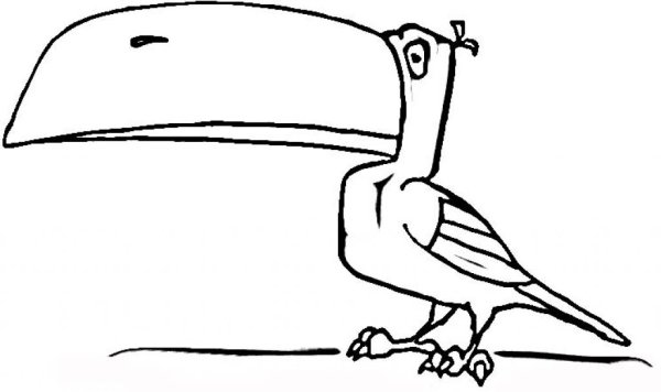 Клюв птицы раскраска