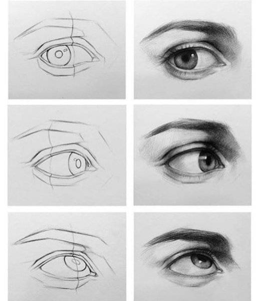 Глаза с разных ракурсов карандашом