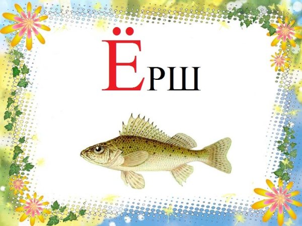Рыба на букву е