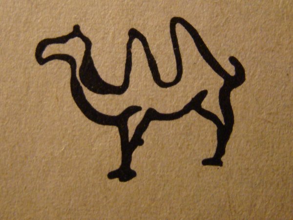 Петроглиф верблюд